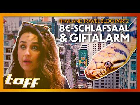 Vom Party-Hostel zur KOBRA-JAGD: Bangkoks extreme Gegensätze