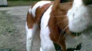 esther phillips - i havent got anything better to do