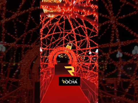 Caldas Novas Goiás, pronta e linda nesse natal 😍