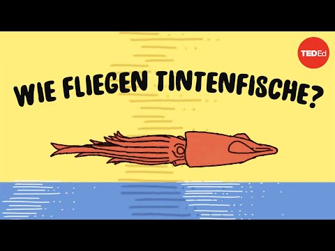 Diese Tintenfische können fliegen … nein, jetzt aber wirklich – Robert Siddall