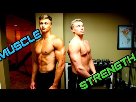 The BEST Workout Plan to Build MUSCLE AND STRENGTH