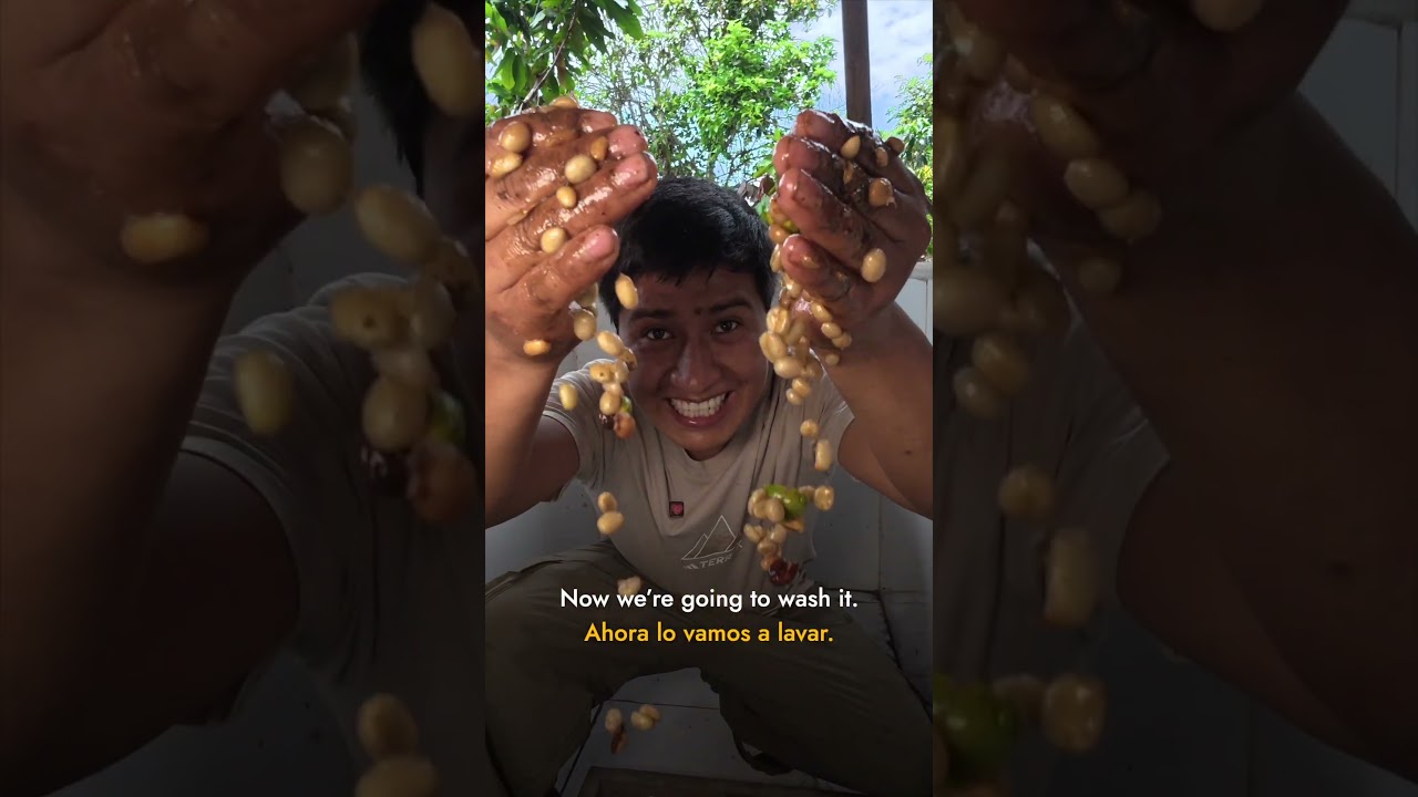 #waldirmaqque #cocoa #recipes #R4C