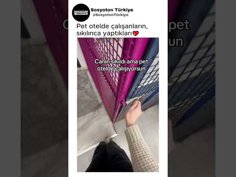 Pet Otelde Çalışanların Sıkılınca Yaptıkları💖