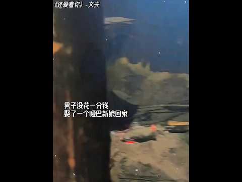 🇨🇳 哑妻恩赐：无言的深情与守护 🇬🇧 Mute Bride's Gift: Silent Deep Affection and Protection