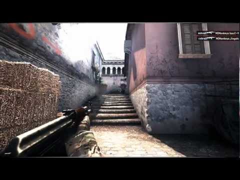 CS:GO| w4sp.GERDES & w4sp.cobraX by TAiNE