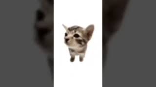 Download lagu bla bla bla ble ble ble blu blu blu blu BAAAHHH MEME. #meme #cat #funny #catmeme #funnycats mp3 Download lagu bla bla bla ble ble ble blu blu blu blu BAAAHHH MEME. #meme #cat #funny #catmeme #funnycats mp3