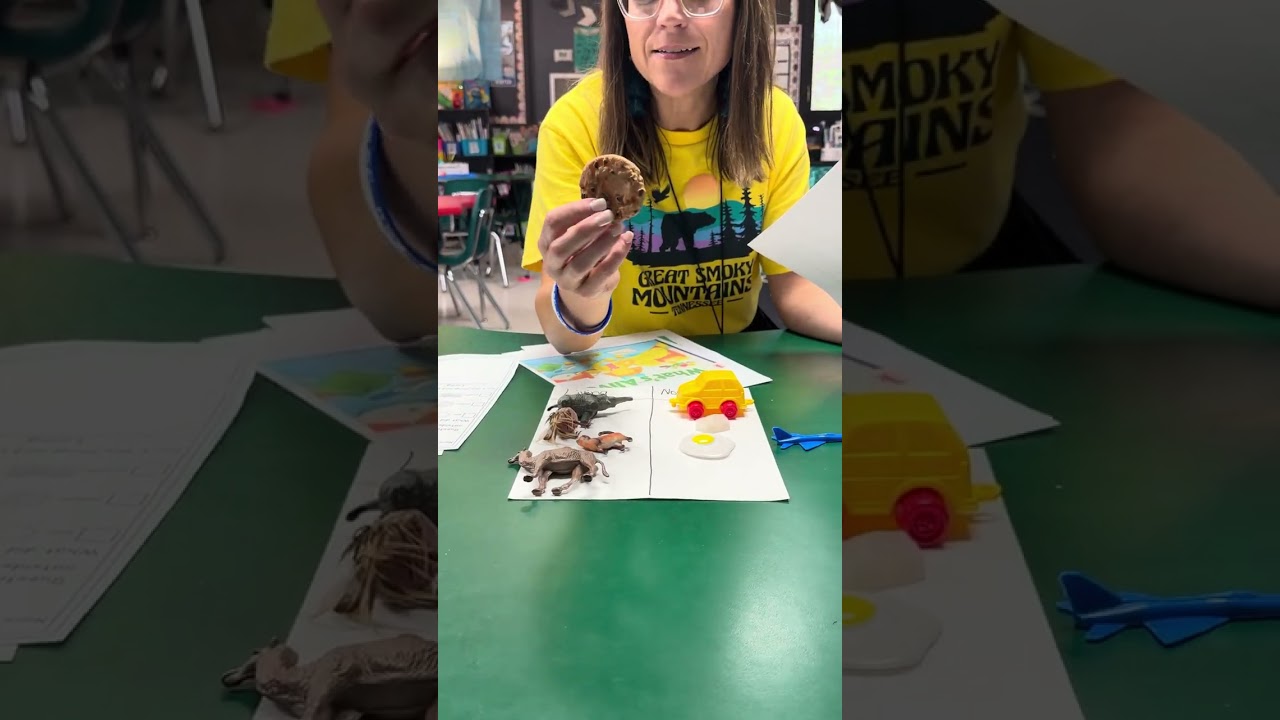 STEM Video Demo Module 2