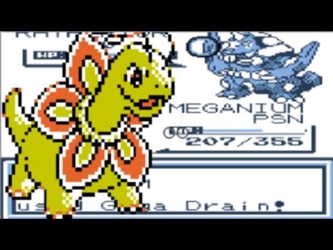 Pokemon Brown Wi-Fi Battle #2 Yus v.s. XENON3120 Going back to the golden days !