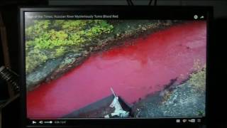 Mudfossils part 13...Blood runs heavy in the thawing water