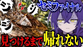 セミファイナルを見つけるまで帰れない