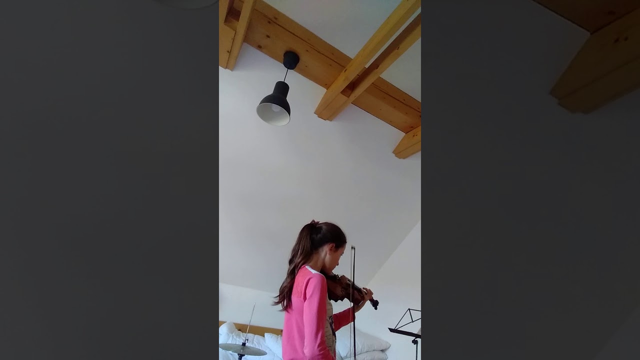huslistka Sonička