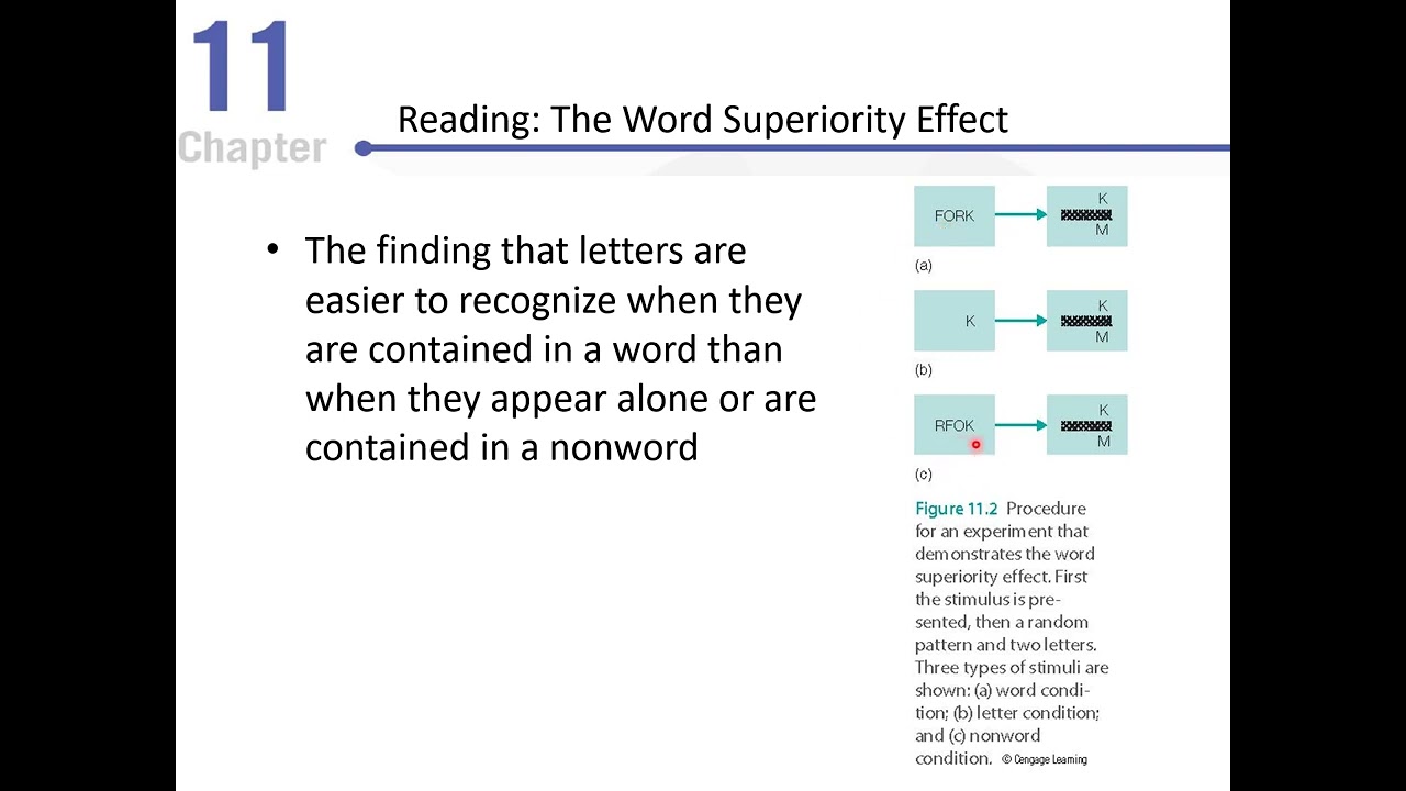 Cognitive Psychology Chapter 11
