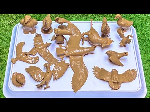 Sky Predators & Serpent Kings: The Battle for Survival with Birds in the Wild