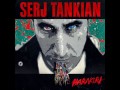 Serj Tankian - Forget Me Knot (Lyrics In ...