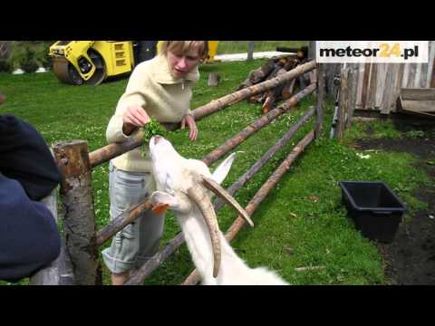 Gospodarstwo Agroturystyczne Sudecka Chata - Lasówka meteor24.pl