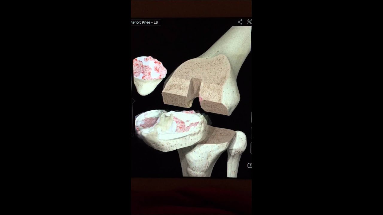 Ruperto Alfonso Muñoz Galguera-13