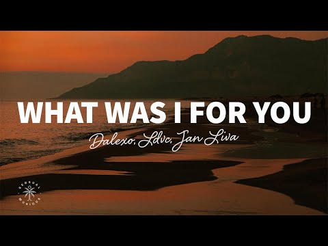 DALEXO, LDVC, Jan Liva - What Was I For You (Lyrics)