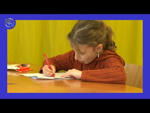 DSTV | ÚJ LEHETŐSÉG, PENTELE PALÁNTA