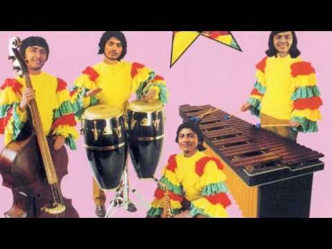 Señor Coconut - Baile alemán