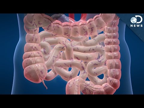 一個意想不到的原因讓你無法堅持飲食! (One Unexpected Reason You Can’t Stick To Your Diet!)