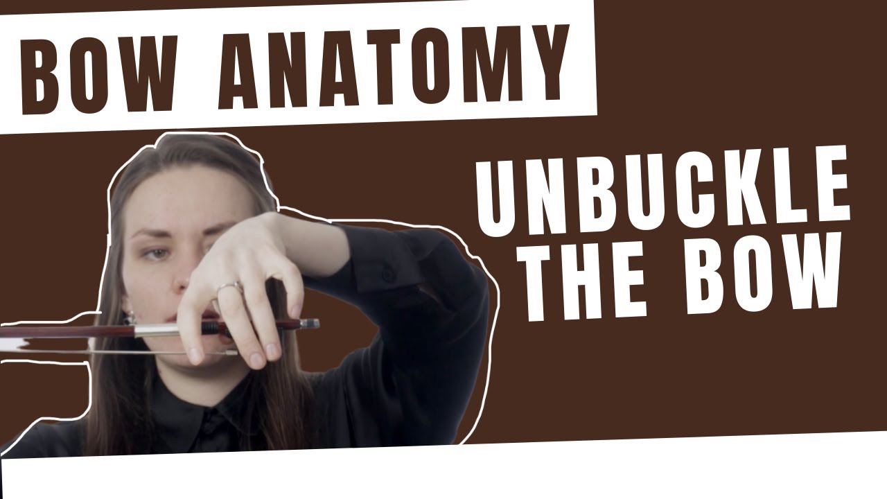 Anatomy of a Bow