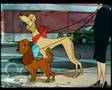 Oliver Company Why Should I Worry Norwegian