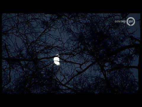 BuitenGewoon 1 januari 2014