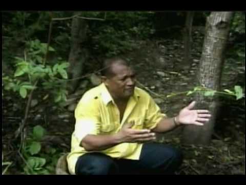 Campesina Ibaguereña - Toby Murgas & Ender Alvarado