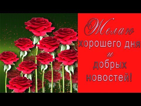 🌞Желаю хорошего дня и добрых новостей! Анимация #WhatsApp