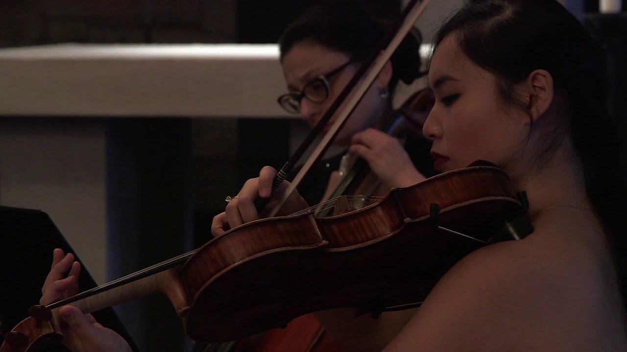 Promotional video thumbnail 2 for Arev Music Entertainment