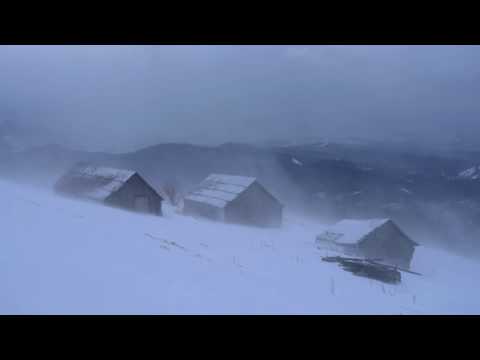 ???? Winter Storm Ambience with Icy Howling Wind Sounds for Sleeping, Relaxing and Studying Background.
