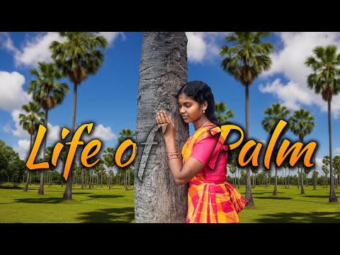 Life of Palm 🌴 EP1 : The Tree That Sweetens Village Life 🌴☀️