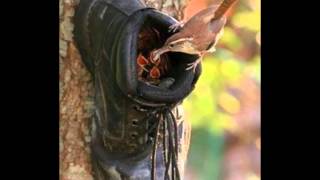 Wolfgang Press- Angel