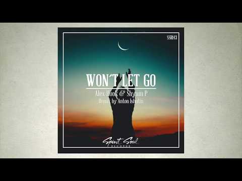 Alex Hook & Shyam P - Won´t Let Go (Original Mix)