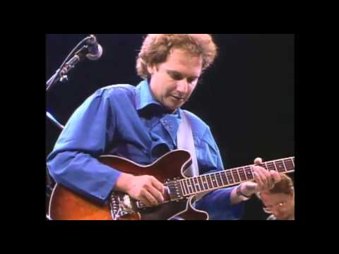RIT VARIATIONS II (Rit Special Live) / Lee Ritenour