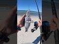 Fishing For Sharks Fishingvideo Fish Fishinglure Fishing Saltwaterfix