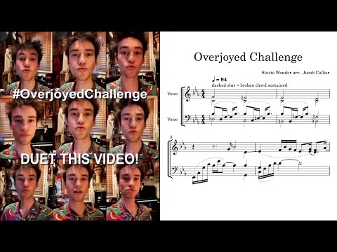 Jacob Collier - Overjoyed (Stevie Wonder)