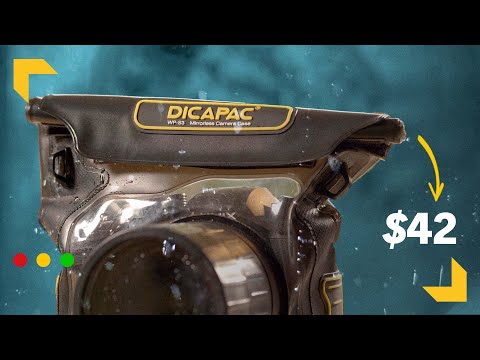 download lagu mp3 mp4 Canon 1100d Underwater Case, download lagu Canon 1100d Underwater Case gratis, unduh video klip Canon 1100d Underwater Case