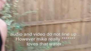 Society's Plague Video Blog #2 (2008)