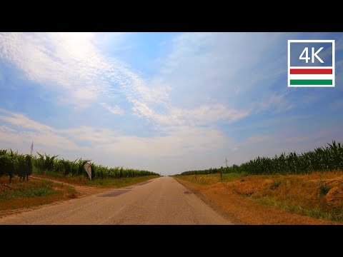 Driving in Hungary 🇭🇺 The Vineyards of Northern Hungary - Relaxing ASMR Drive