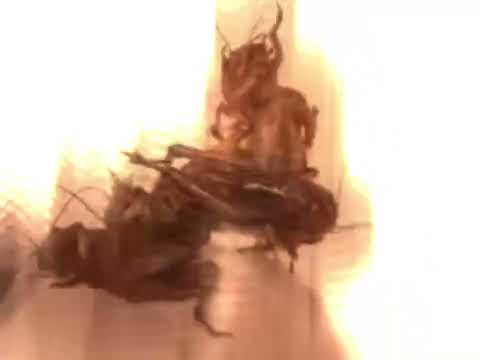 Videoclip de Cloacula: The Anthropophagic Copromantik — Cattle Decapitation