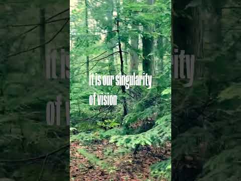 Righteous Babe Records and Ani DiFranco