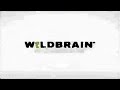 Magic Store Wildbrain Nick Wmm Effects R1