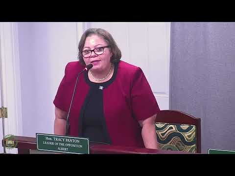 Panton Raises Alarm on Election Fraud During House Address