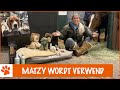 Matzy's kerstcadeautjes unboxen! + winactie |  DierenpraatTV