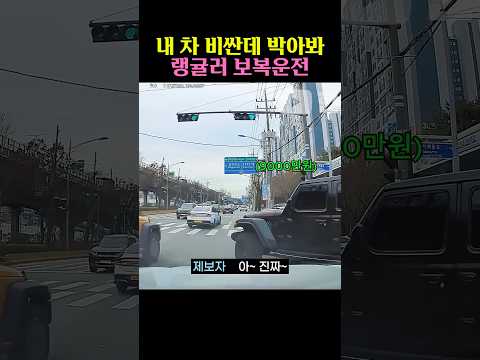 내 차 비싼데 박을 수 있어? 랭귤러 보복운전