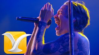 Incubus - Stellar - Festival Internacional de la Canción de Viña del Mar 2025 - Full HD 1080p.