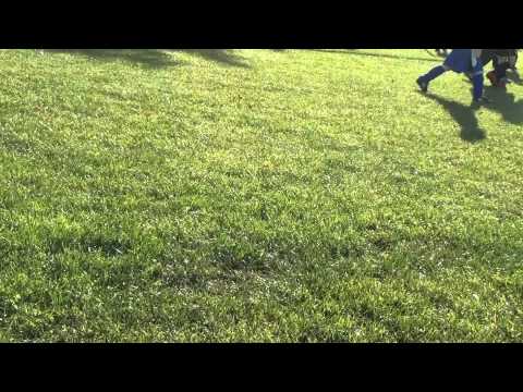 20.10.2012 G-Junioren Wandersleben - FC Blau-Weiss Dachwig Döllstädt 0:5 (0:1)