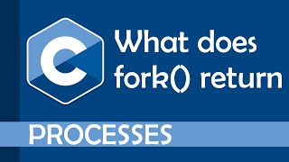 What does fork() actually return?