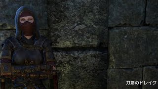 【ESO】#02 ドレイクとの出会いと樹木園で慌てふためく英雄 The Elder Scrolls Online
